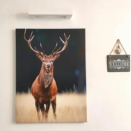 Apartmán Panorama Rosie Design