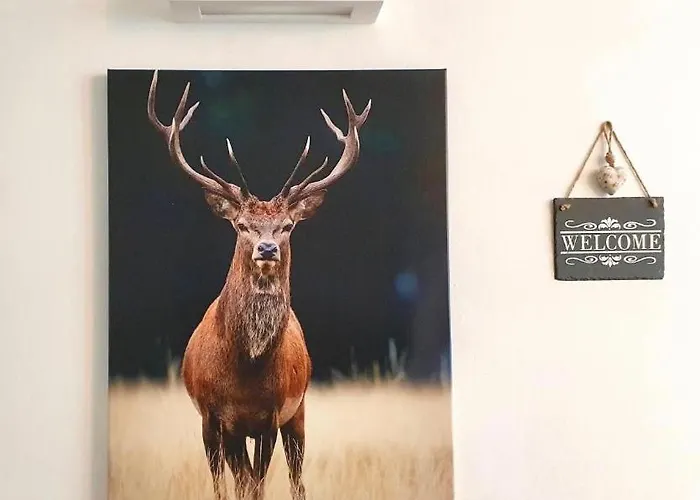 דירה Panorama Rosie Design