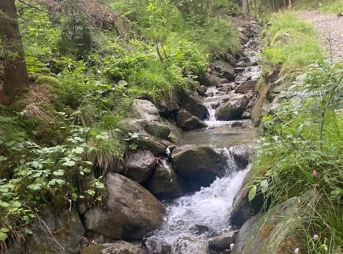 Panorama Rosie Design דירה